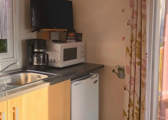 Mobil-home 2 Pers A - Api-1-52-1687 * Angicourt